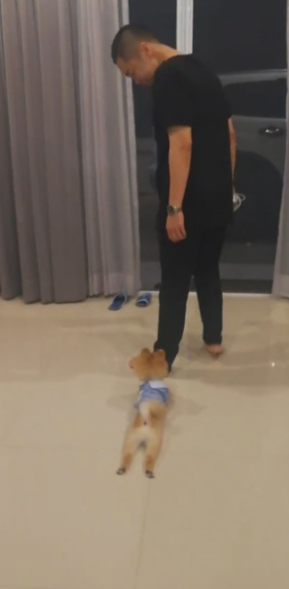 พ่อจ๋าหนูไม่ให้ไป!! "น้องหมา" กอดขาเจ้าของเอาไว้!? ไม่ให้ไปข้างนอก! ทำเอาคนดูถึงกับยิ้มไม่หุบ เอ็นดูในความน่ารัก!! (ชมคลิป)