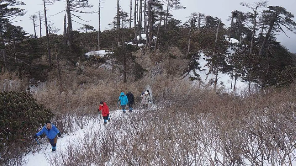 ฮือฮาสุดๆ ชมภาพเทือกเขา “คากาโบราชี” ในพม่า หิมะตกขาวโพลนสวยงาม งานนี้ไม่ต้องไปไกลถึงยุโรปแล้ว