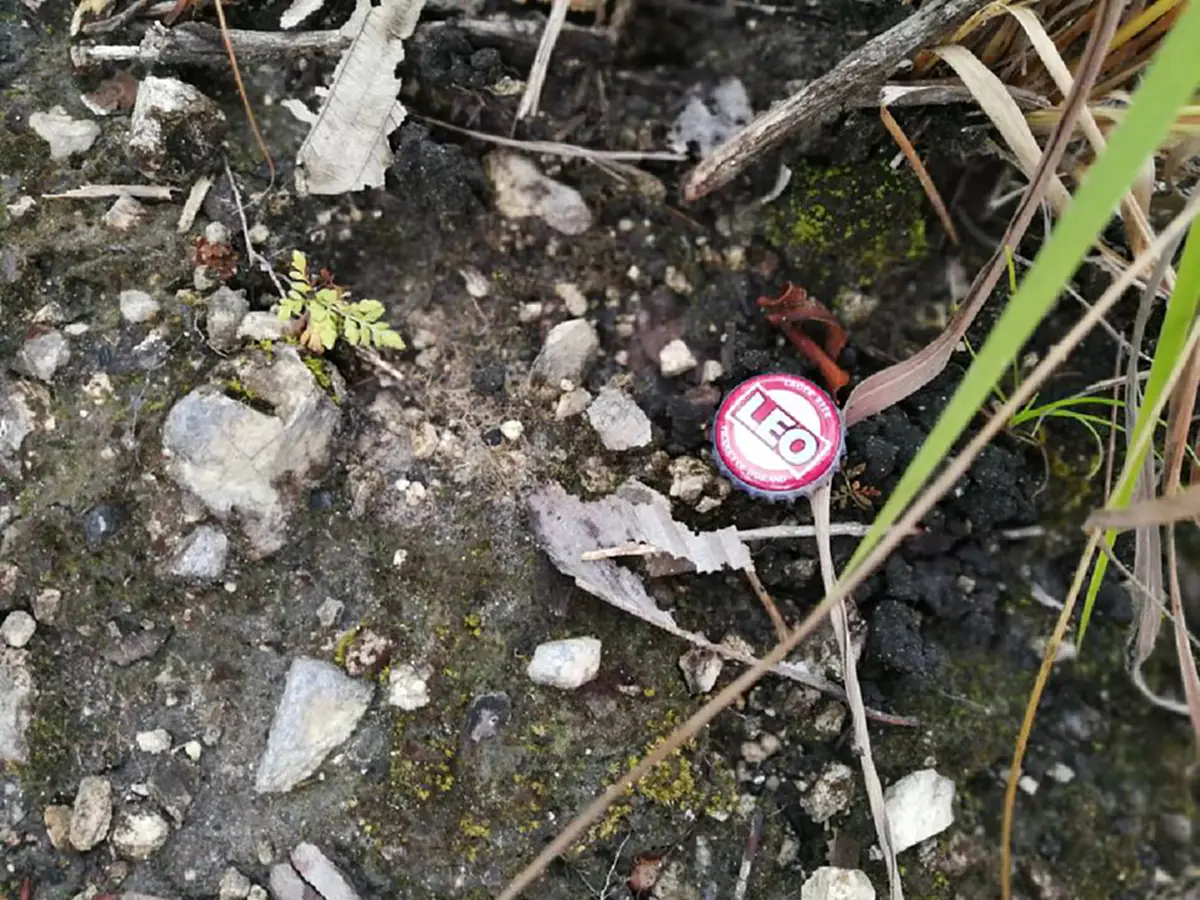 เตือนไม่ฟัง "นักท่องเที่ยวไร้วินัย" ทิ้งขยะเกลื่อนดอยฟ้างาม เดือดร้อนพระเณรช่วยเก็บ