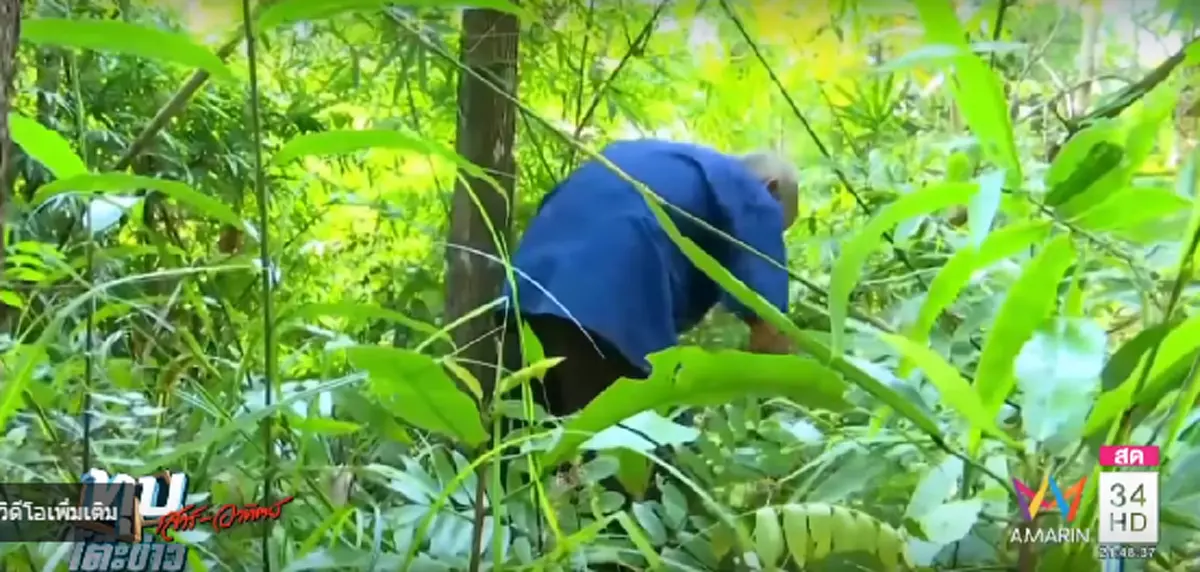 ถึงตายก็ยอม!!! พ่อ"ผอ.อ้อย" ลุยป่าฝ่าดงระเบิด ตามหาชิ้นส่วนกระดูกสันหลังลูก ญาติเล่าวินาทีเจอร่าง...มีสิ่งลึกลับมาดลใจให้หาเจอ!?!