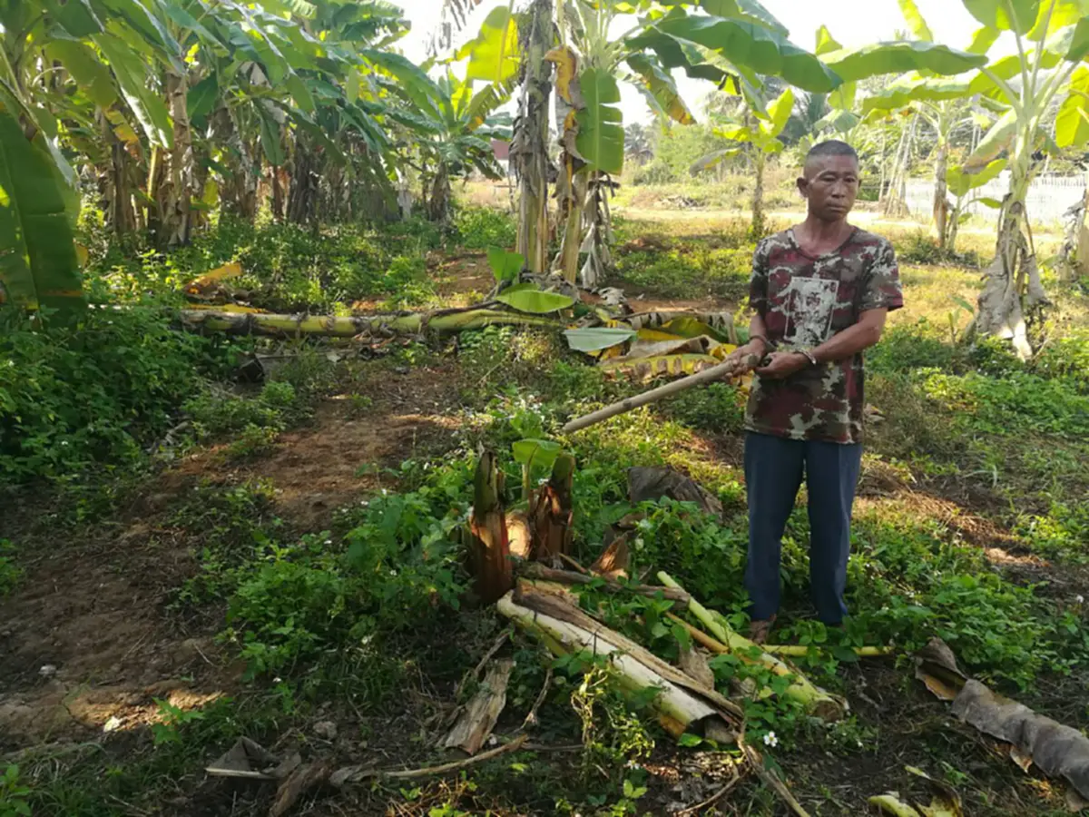 สุดพิลึก!! เมียเฮลั่นบ้าน ดีใจยิ่งกว่าถูกหวย "ผัวถูกตำรวจจับ" คดีฟันต้นกล้วย  ชาวบ้านรู้ข่าวมายินดียกใหญ่!!