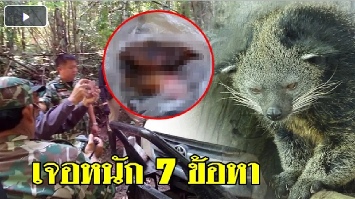 "ศศิน"ห่วงก๊วน"ปลัดออฟโรด"หลุดข้อหาล่าหมีขอ ชี้หลักฐานคดีต่าง"เปรมชัย"