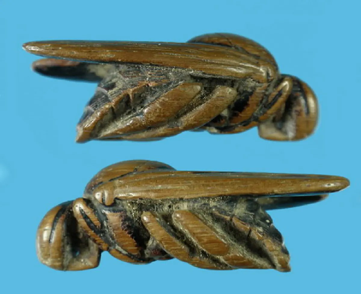 พญาแมลงภู่คำ