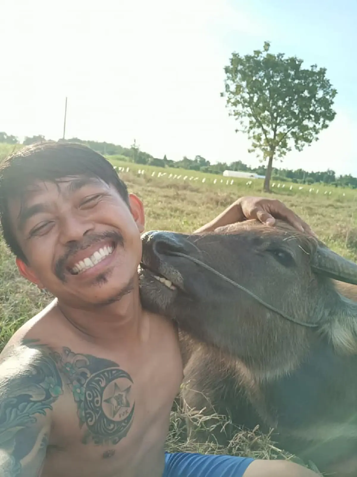 ชายที่มีความสุขที่สุดในโลก โซเชียลตกหลุมรักชายหนุ่มกับควายของเขา ยิ้มแฉ่งมีความสุขโชว์ฟันขาวถ่ายรูปคู่สุดทะเล้น