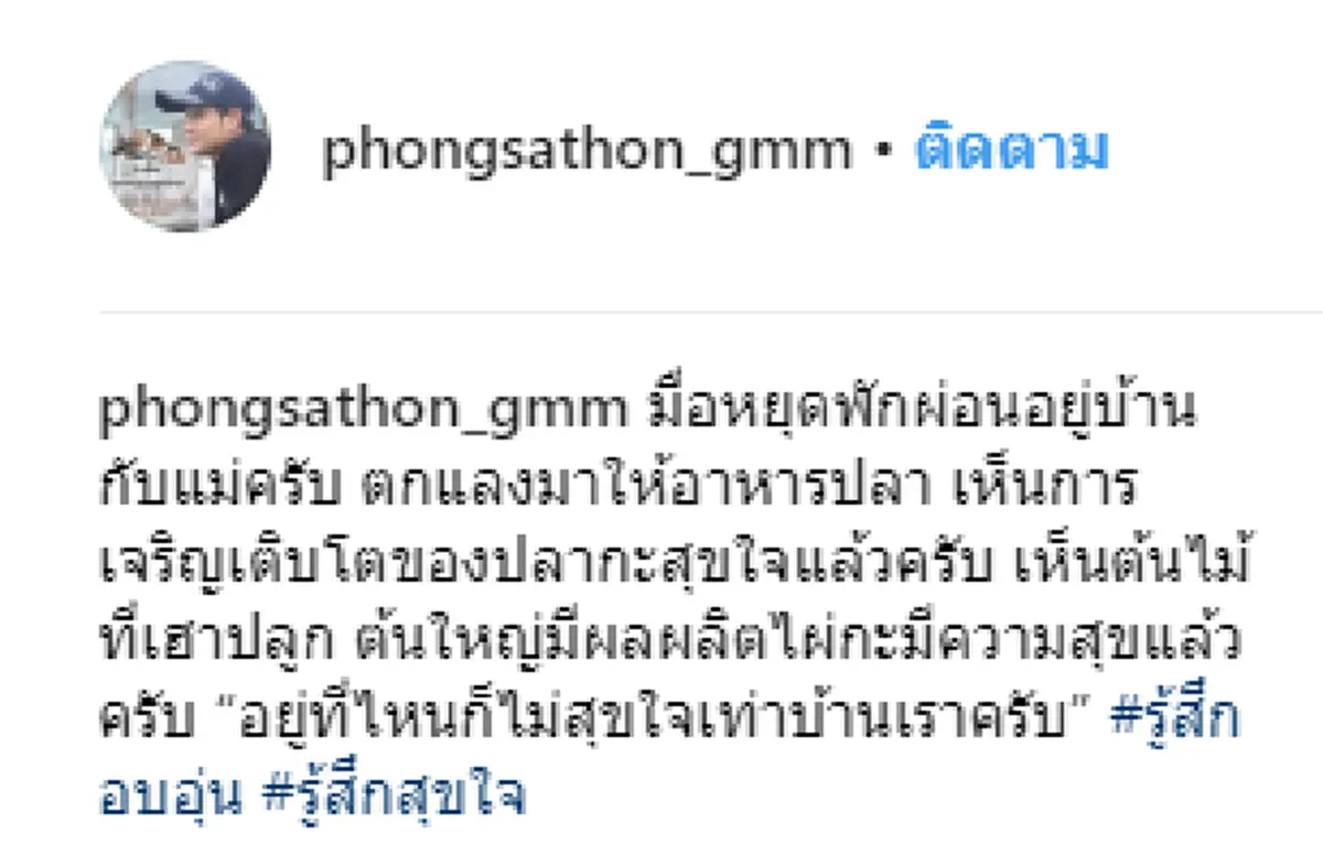 โพสต์ของไผ่