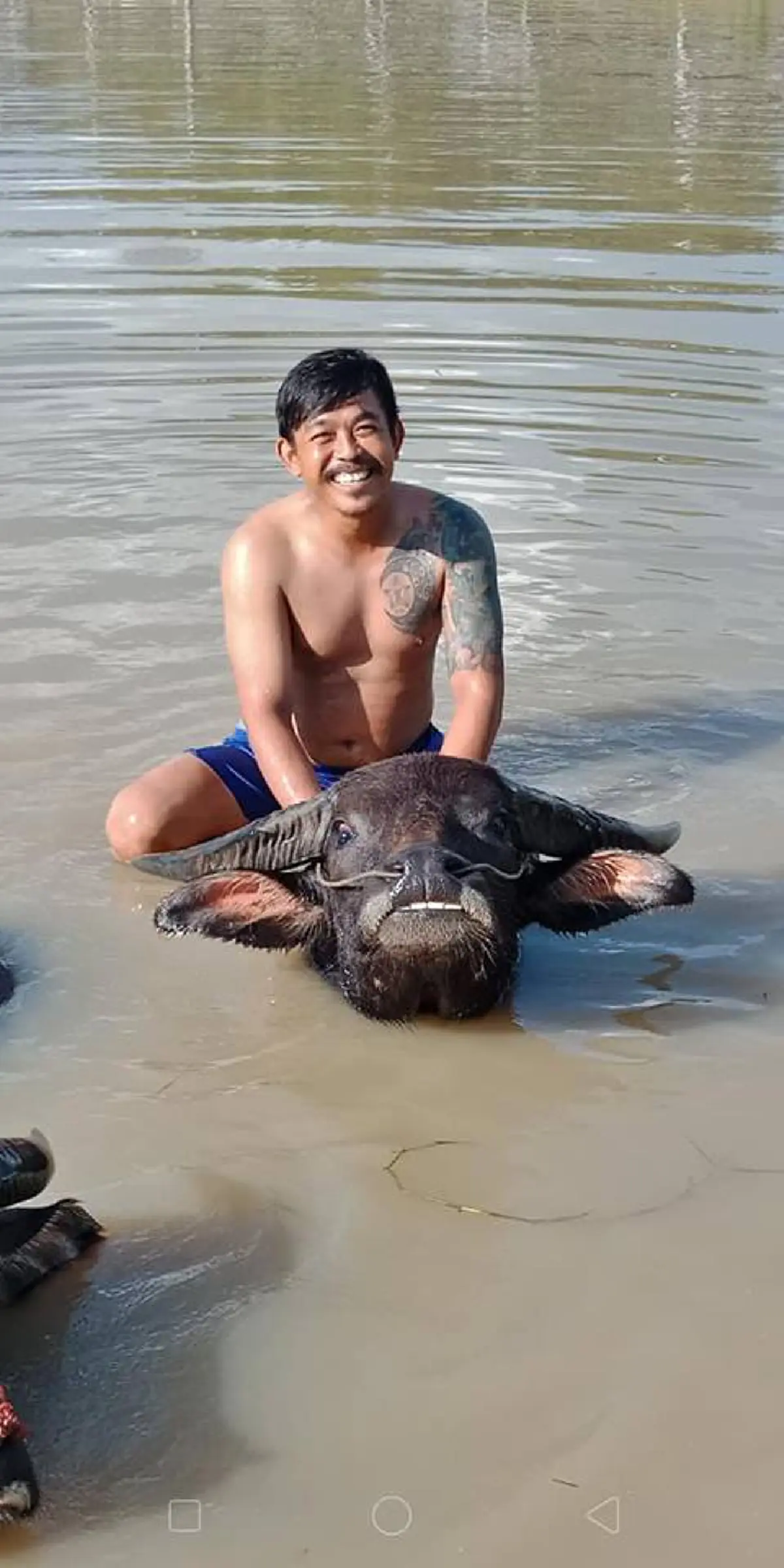 ชายที่มีความสุขที่สุดในโลก โซเชียลตกหลุมรักชายหนุ่มกับควายของเขา ยิ้มแฉ่งมีความสุขโชว์ฟันขาวถ่ายรูปคู่สุดทะเล้น