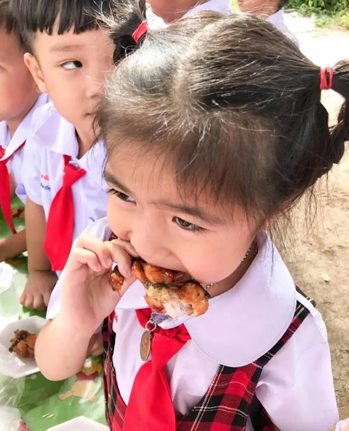 เปิดโลกการเรียนรู้! หนูน้อยอนุบาลเรียนเรื่อง กบ การเกิด ลองจับตัว จนสุดท้ายเป็นขั้นตอนการกินกบทอด!