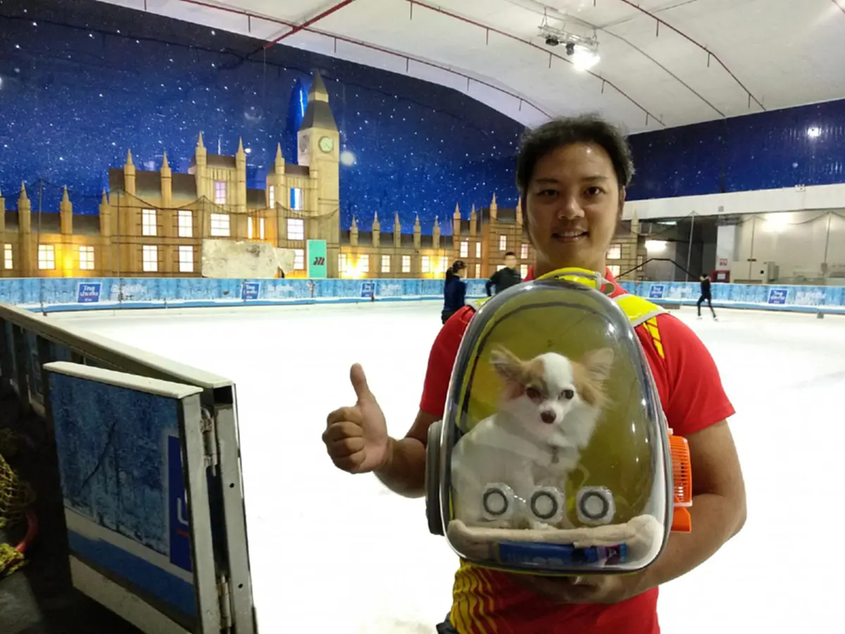 น้องหมา นอนอยู่ในเป้อวกาศใส พนง.ไม่ทันสังเกตุ เจ้าตัวถึงกับตกใจ!(คลิป)