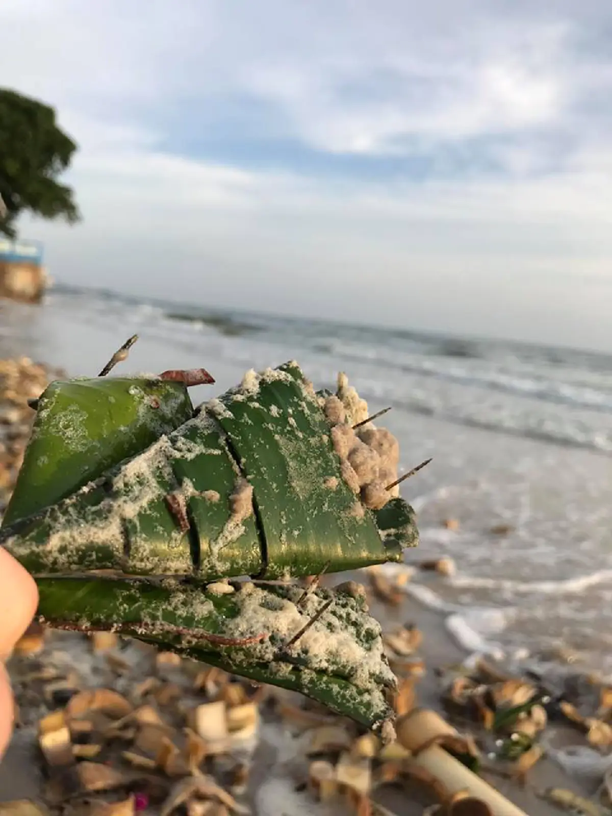 สาวโพสต์เศษชิ้นส่วนตะปูที่ติดมากับกระทง ลอยเกลื่อนชายหาดหัวหิน