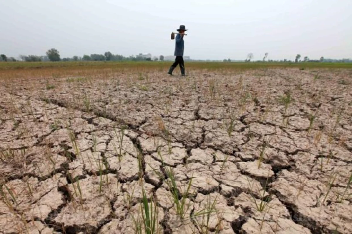 Exclusive Interview : จับตาทิศทางภัยธรรมชาติในประเทศ 10 ปีข้างหน้าเปลี่ยนแปลงแน่ กับ ดร.เสรี ศุภราทิตย์ (Part 2)