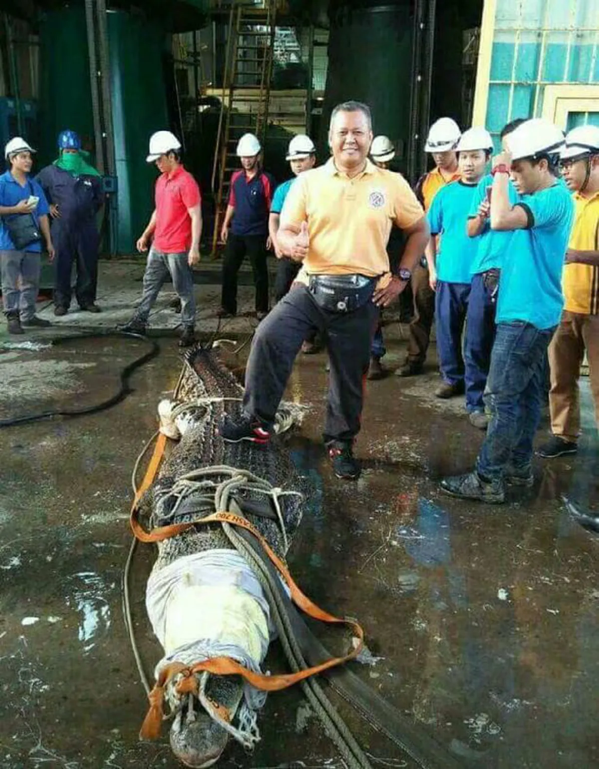 สิ้นลายไอ้เข้!! นักดับเพลิงอินโด ร่วมมือช่วย \"จระเข้ยักษ์\" ยาว 20 ฟุต หลังว่ายมาติดท่อระบายน้ำ ทุลักทุเล ทั้งกลัวและสงสาร สุดท้ายไม่รอด