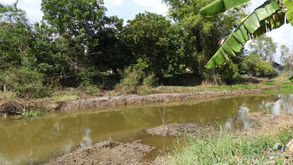 ลูกชายพยายามว่ายน้ำข้ามคลองจะเอาข้าวมาให้แม่ที่บ้านแต่หมดแรงจมน้ำเสียชีวิตก่อนไปถึง