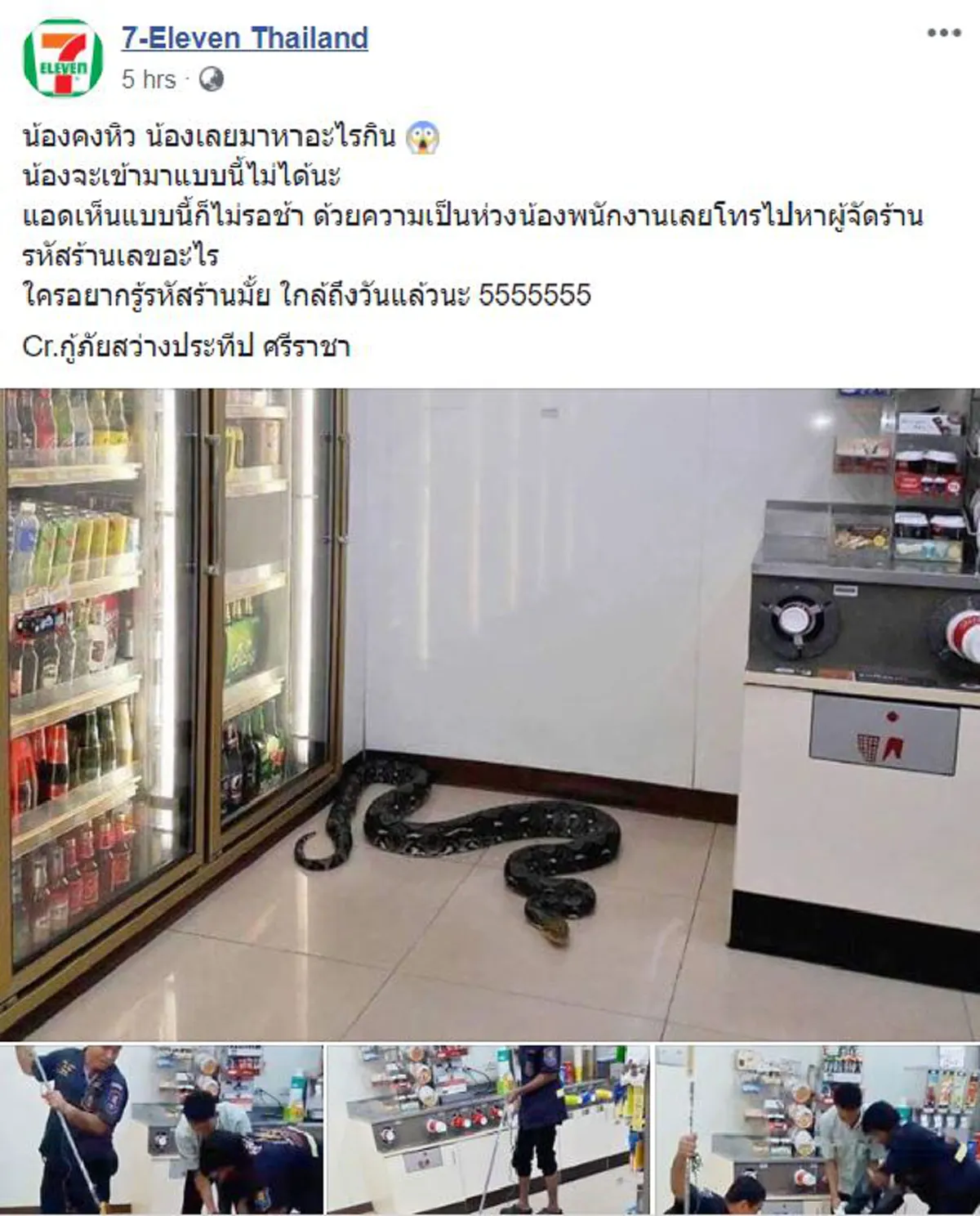 คอหวยมารวมกันตรงนี้ เปิดรหัสร้านสะดวกซื้อ เจอ"เจ้างูเหลือมยักษ์"บุก!! รีบส่องกันเลย พรุ่งนี้รวย รับทรัพย์ถ้วนหน้า!! (คลิป)