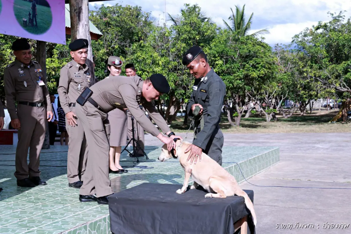 ตชด. จัดพิธีประดับยศ มอบรางวัลความกล้าสุนัขตำรวจ 13 ตัว ชาวเน็ตแห่ชื่นชมความน่ารัก (คลิป)
