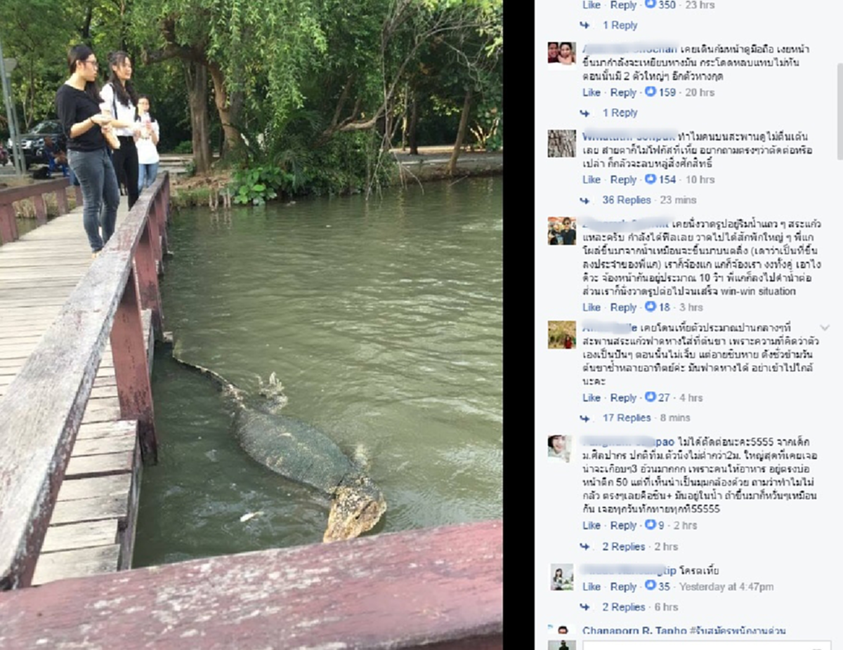 แชร์ว่อน !!! "ตัวเงินตัวทอง" เท่าจระเข้ พิกัดมหาวิทยาลัยชื่อดัง ที่ใครๆ ก็รู้ ???