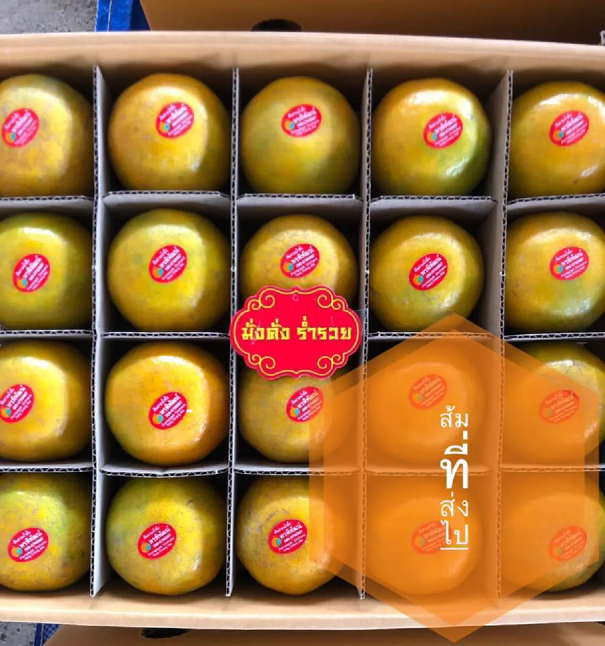 เจ้าของสวนส้มเดือด ส่งส้มผ่านบ.ขนส่งไปถึงลูกค้าถูกเปลี่ยนส้มและกล่อง แถมบ.โทรมาไม่รับผิดชอบทุกกรณี!