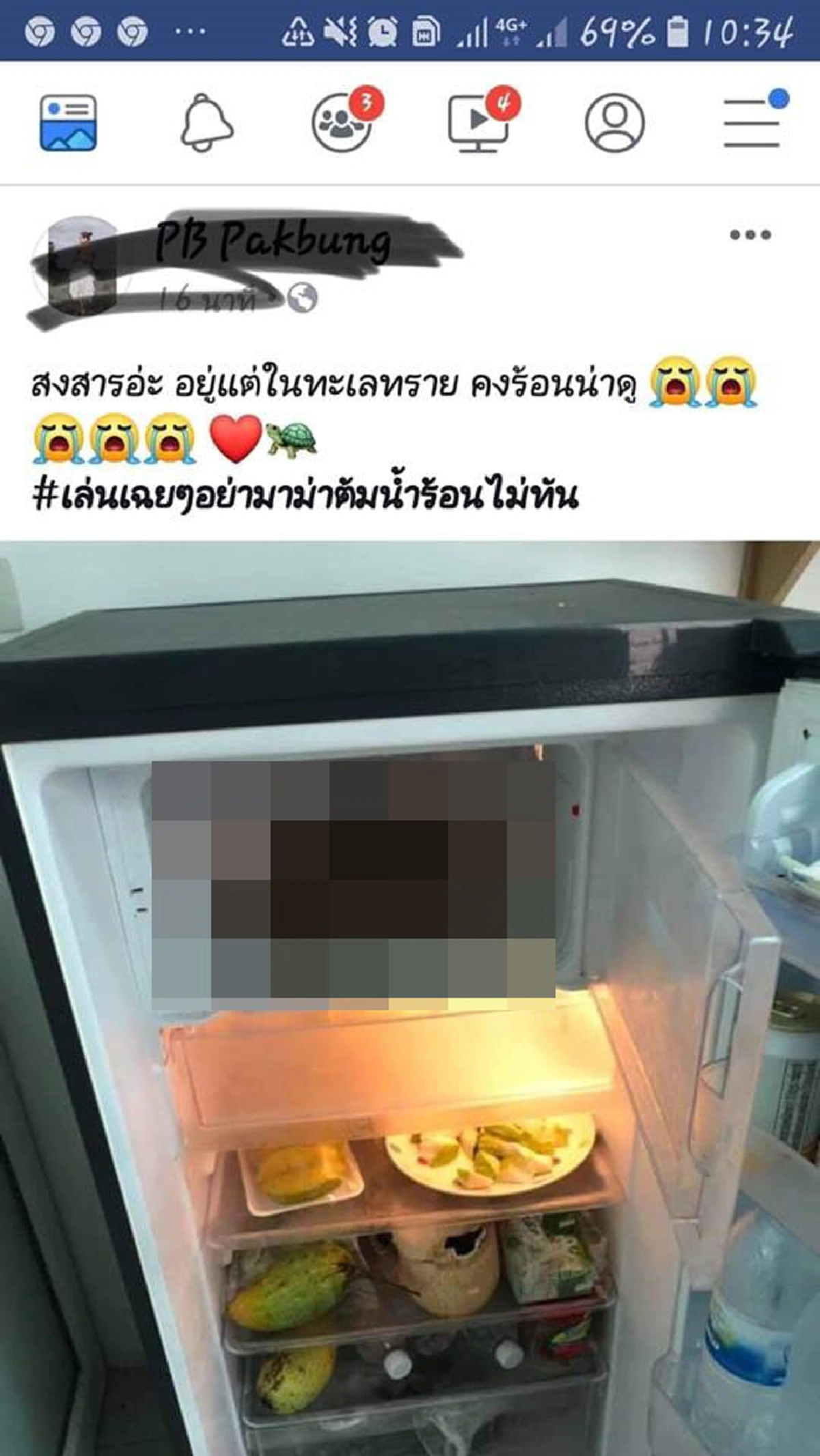 ผู้ก่อตั้ง สมาคมพิทักษ์สัตว์ไทย เเจ้งความ สาวเล่นพิเรนทร์ จับเต่าแช่ตู้เย็น-นอนหงายท้อง ลั่น หน่วยงานต้องให้ความสำคัญกับสัตว์มากกว่านี้!