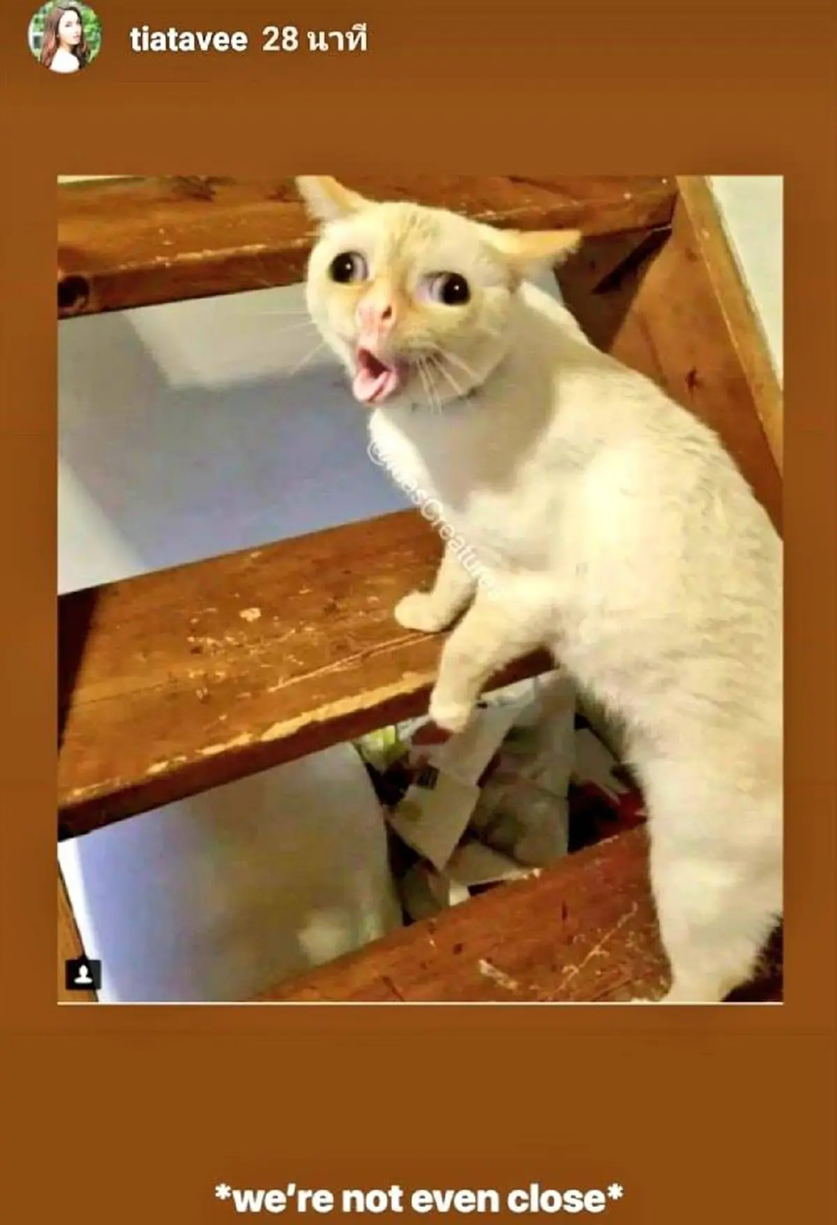 ไอจีสตอรี่