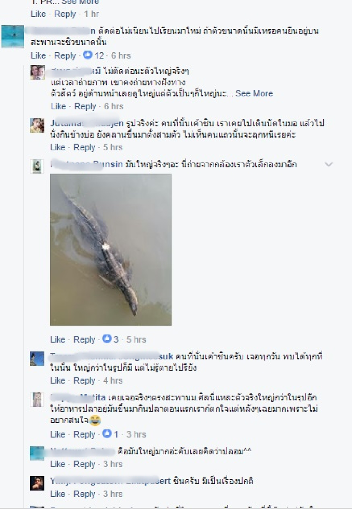 แชร์ว่อน !!! "ตัวเงินตัวทอง" เท่าจระเข้ พิกัดมหาวิทยาลัยชื่อดัง ที่ใครๆ ก็รู้ ???