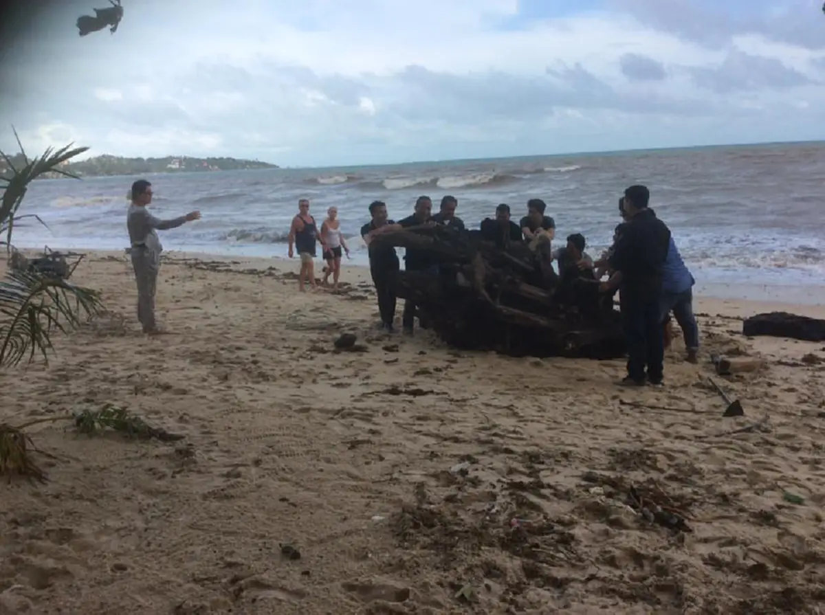 ภาพนักท่องเที่ยวช่วยกันเก็บขยะริมหาด หลังเกิด\"พายุปาบึก\" ที่สุราษฎร์ธานี(คลิป)