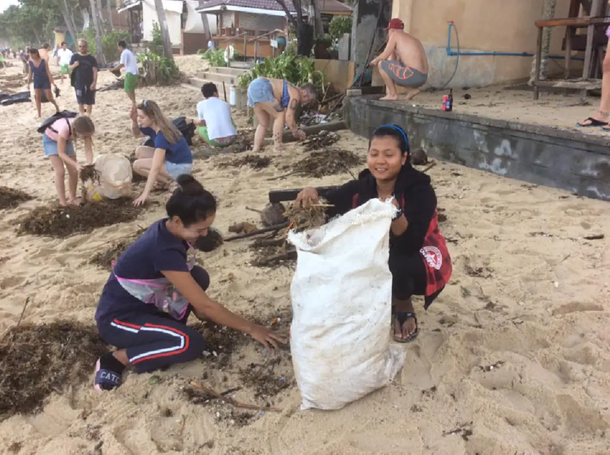 ภาพนักท่องเที่ยวช่วยกันเก็บขยะริมหาด หลังเกิด\"พายุปาบึก\" ที่สุราษฎร์ธานี(คลิป)