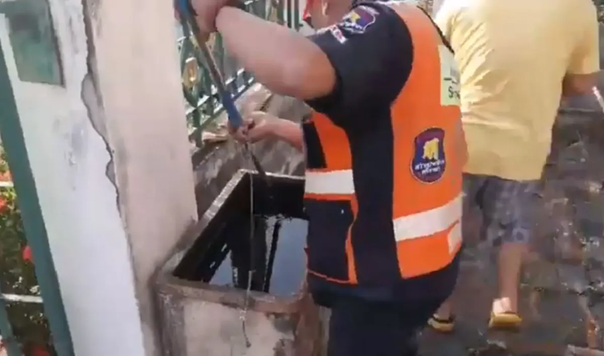 เผ่นเป็นป่าราบ! "ครูเกษียณ"เมืองชลฯ ให้อาหารปลาตามปกติ เห็นอะไรเเปลกๆผิดสังเกต?? มองชัดๆเเทบล้มทั้งยืน "งูเหลือม4เมตร โผล่หัวทักทาย!! (คลิป)