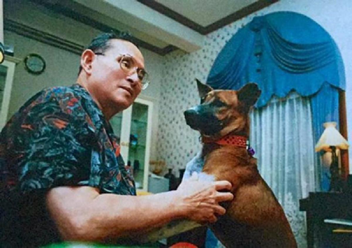 เชื่อว่า...ไม่มีใครเคยรู้มาก่อน !!! "คุณทองแดง" สุนัขทรงเลี้ยงทรงอิทธิพล ที่สร้างประโยชน์ และ โครงการดีๆให้สังคมมากมาย !!! #ปิดทองหลังพระ