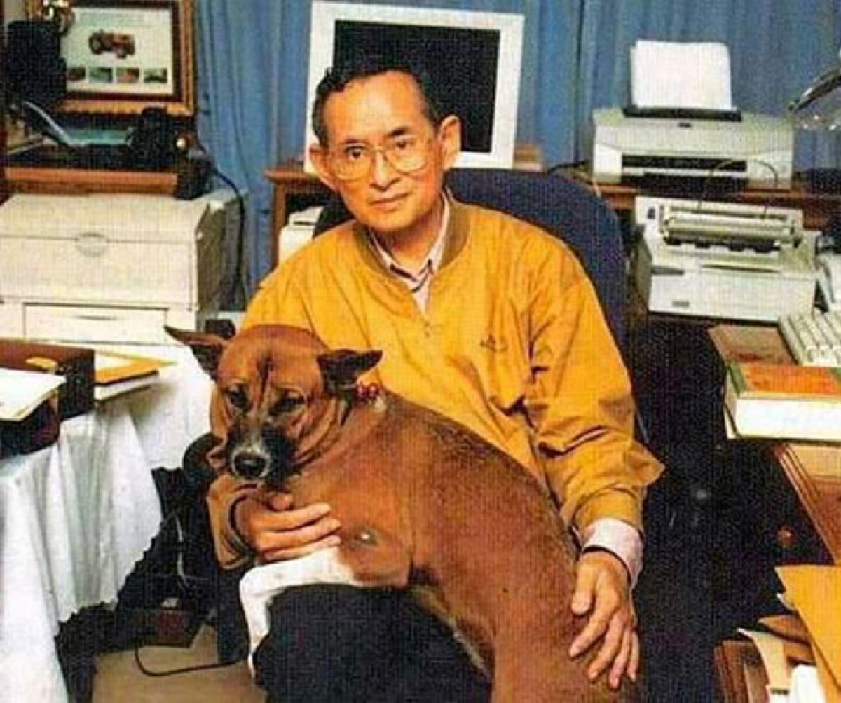 เชื่อว่า...ไม่มีใครเคยรู้มาก่อน !!! "คุณทองแดง" สุนัขทรงเลี้ยงทรงอิทธิพล ที่สร้างประโยชน์ และ โครงการดีๆให้สังคมมากมาย !!! #ปิดทองหลังพระ