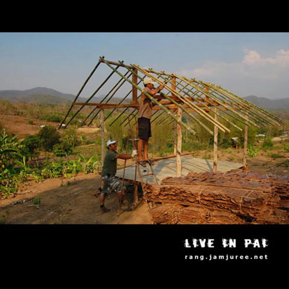 ไอเดียโคตรบรรเจิด!!สามคนพี่น้อง ช่วยกันสร้างกระท่อมไม้ไผ่ไว้อยู่เองหลังเล็กๆ แต่แข็งแรง อยู่ได้ถาวร..พอได้เห็นข้างในแทบตาค้าง มันสุดยอดจริงๆ