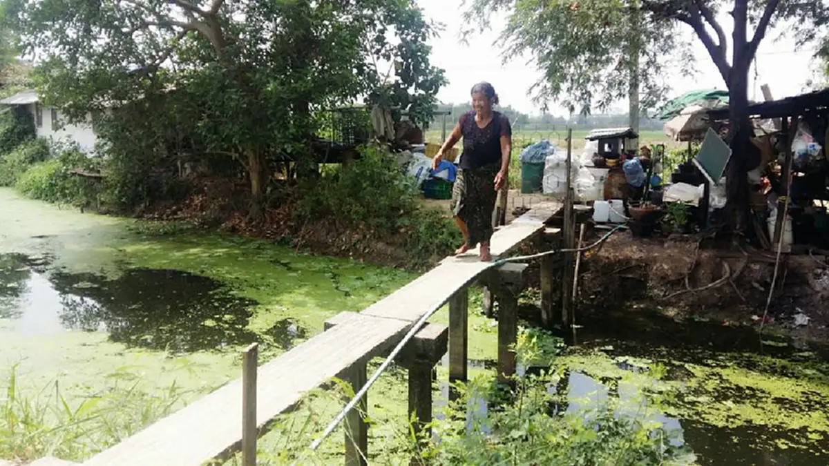 แม้มีไม่เท่าใครแต่ไม่เคยคิดขอทาน"ป้าพร"หญิงพิการสู้ชีวิตสุดใจบุญเลี้ยงดูสุนัขจรจัดอีก 7 ตัว 8 ชีวิตที่ต้องอดมื้อกินมื้อ วอนผู้ใจบุญช่วยเหลือ