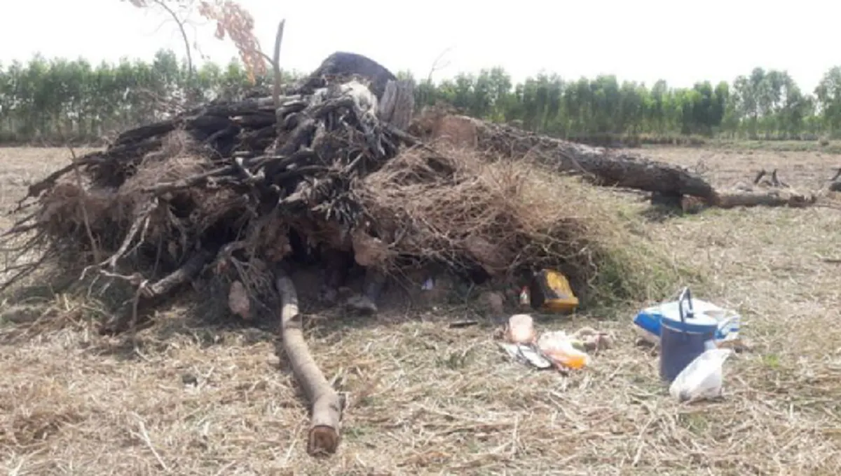 ผวาทั้งหมู่บ้าน!!! นั่งหลบแดดอยู่ดีๆ กลายเป็นศพคาที่ได้ รู้สาเหตุแล้วตะลึงหนัก!!