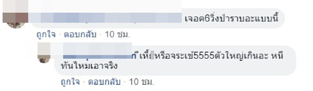 ป๊าดดด...นึกว่าไอ้เข้ นักศึกษาถึงผงะ! เจอตัวเงินตัวทองไซส์บิ๊ก เดินต้วมเตี้ยมในมหาลัย (คลิป)