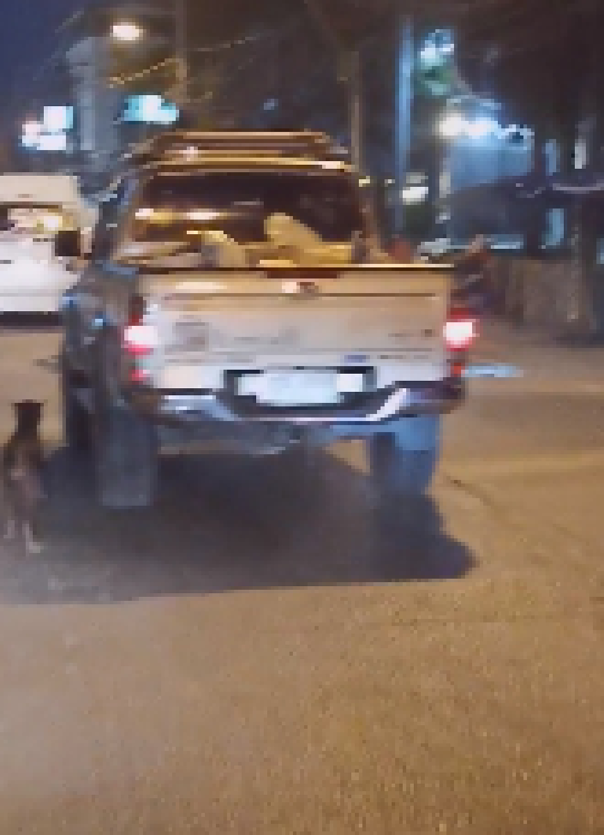 เปิดคลิปนาที \"สุนัข\" วิ่งตามรถเจ้าของ โดยที่ไม่รู้ตัวว่า \"โดนทิ้ง\"