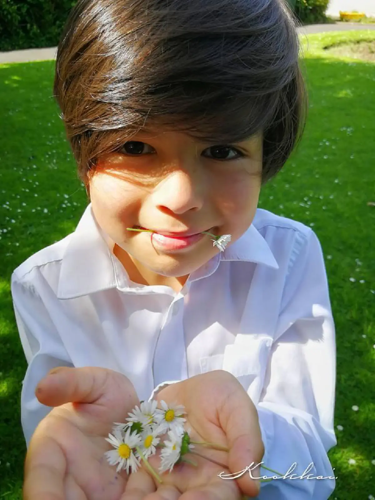 น้องดีแลนท์ ฮาร์ดคอร์ ก.ไก่ โตเป็นหนุ่มแล้ว หล่อขึ้นมาก