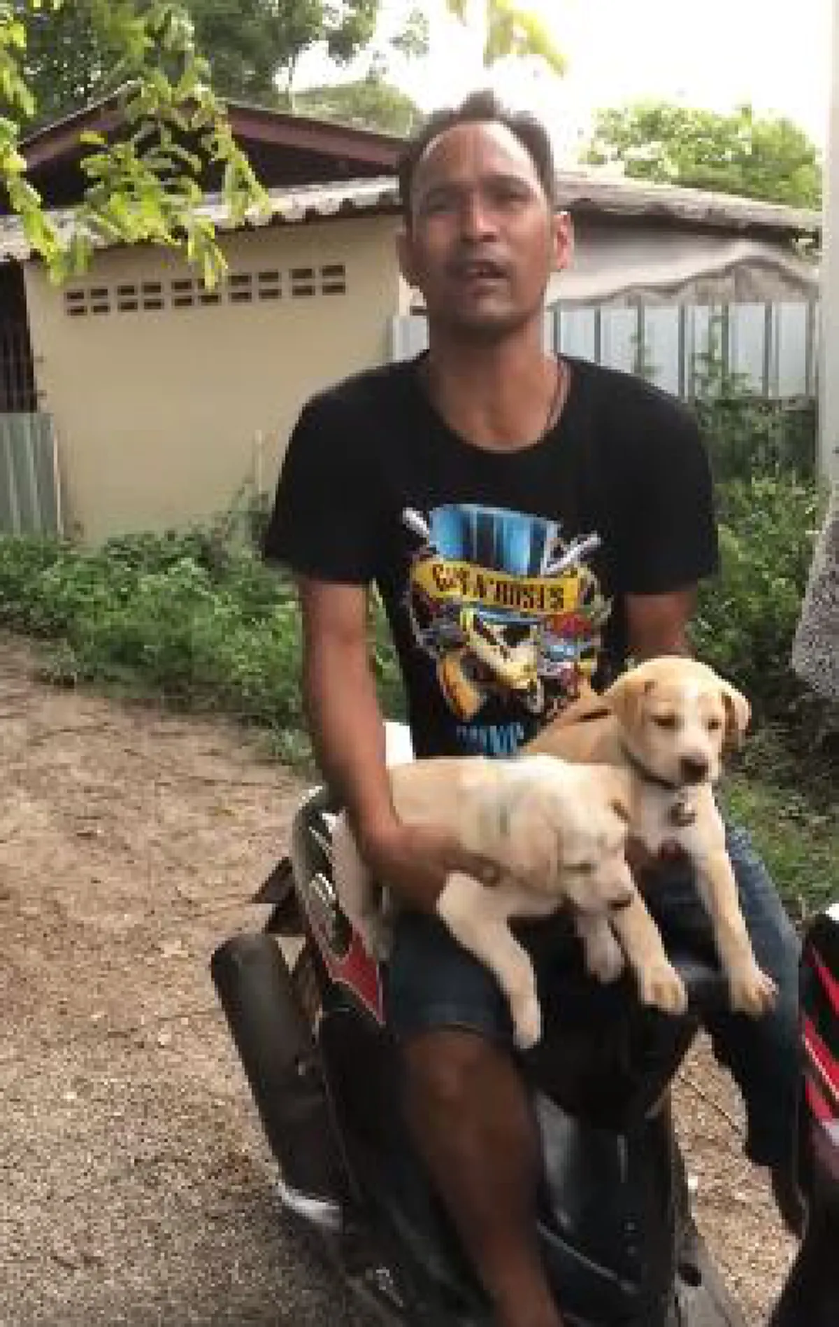 มึงไปเก็บมาจากไหน!? หนุ่มใหญ่โชว์ลีลาอ้อนเมียขอเลี้ยงลูกหมาแบบโคตรพีค บอกเลยใครเจอแบบนี้ก็ต้องใจอ่อน! (มีคลิป)