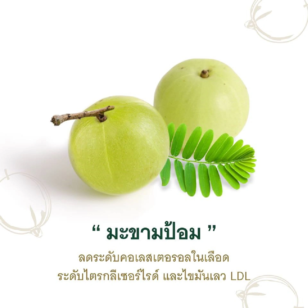 รู้งี้กินนานแล้ว !!! สุดยอดประโยชน์จากพืช 5 ชนิด ที่ช่วยทำให้ "ผอม-ลดไขมัน" ที่หามากินได้ง่าย แทบไม่เคยรู้มาก่อน  !!!