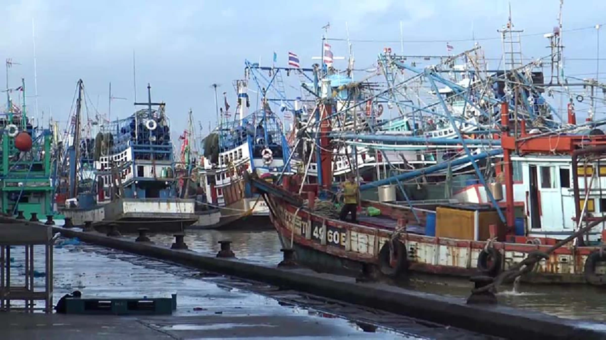 "บิ๊กฉัตร" แจกของขวัญปีใหม่ชาวประมง เพิ่มวันออกเรือพาณิชย์ เริ่ม 1 ม.ค.62!