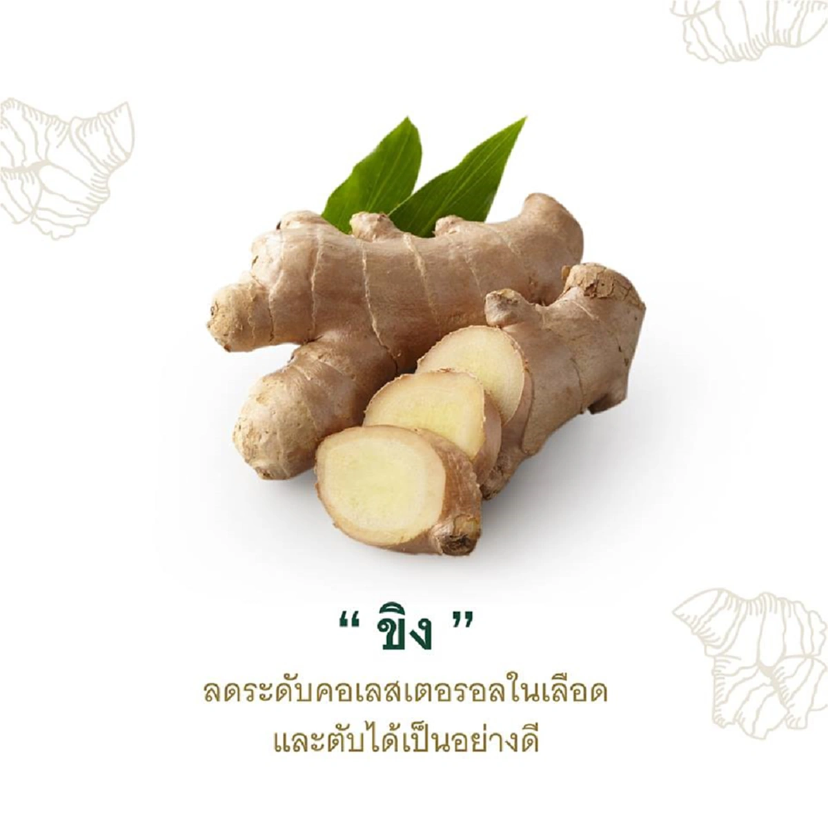 รู้งี้กินนานแล้ว !!! สุดยอดประโยชน์จากพืช 5 ชนิด ที่ช่วยทำให้ "ผอม-ลดไขมัน" ที่หามากินได้ง่าย แทบไม่เคยรู้มาก่อน  !!!