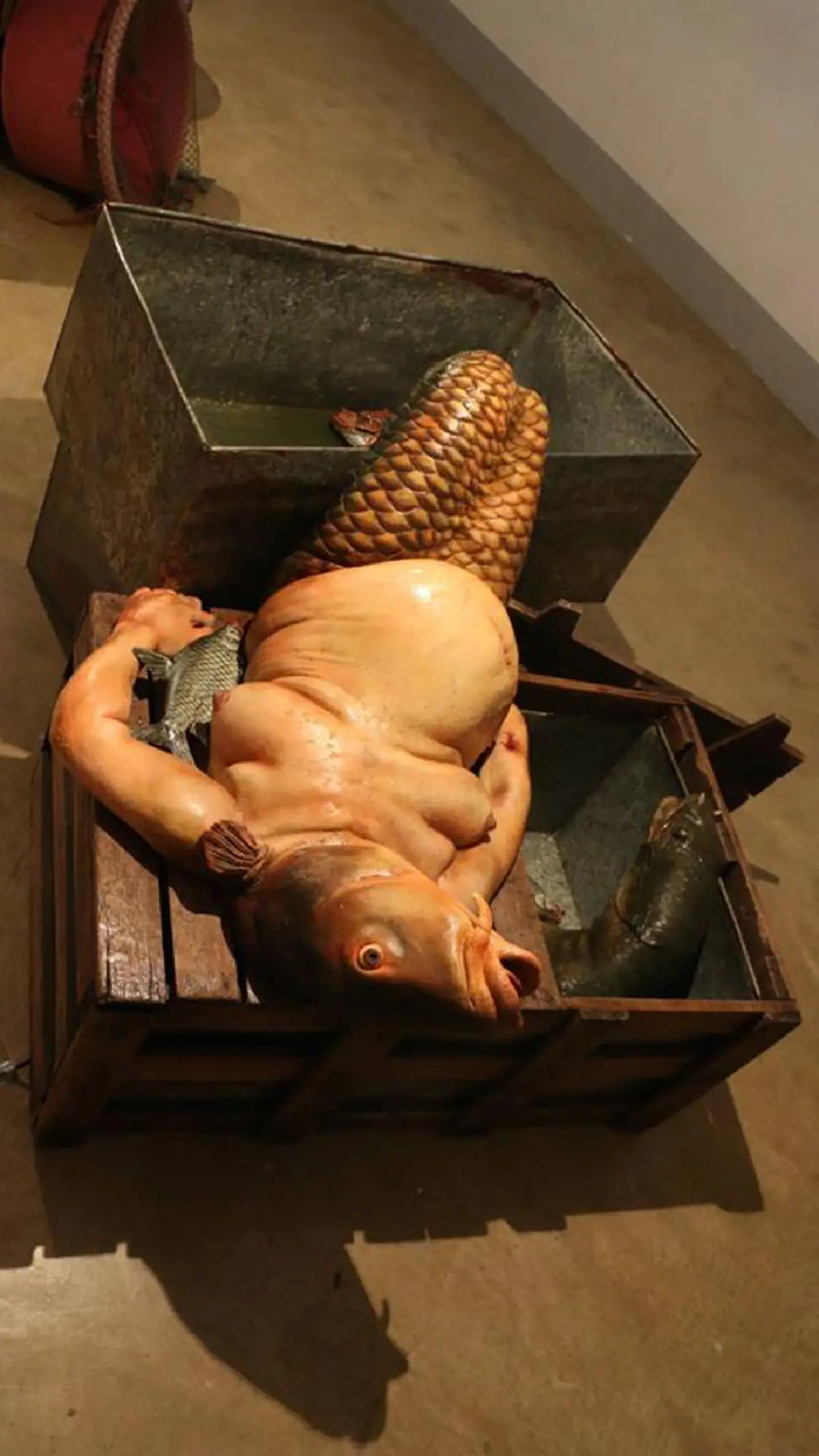 สัตว์ก็ต่างมีความรู้สึก!!! มันคือตัวอะไร!? แห่แชร์สนั่นภาพสัตว์หน้าตาประหลาด พอได้อ่านเรื่องราว ถึงกับช็อกมนุษย์ช่างโหดร้ายเหลือเกิน!!!