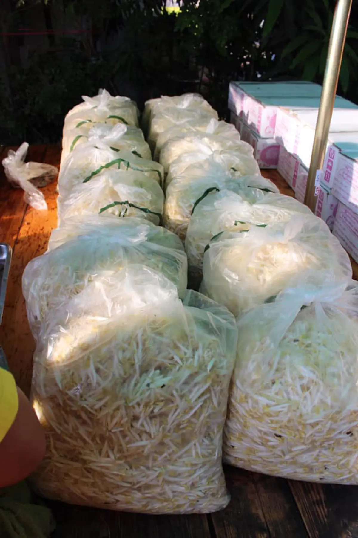 ของฟรีของดีมีในโลก ทิวสนก๋วยเตี๋ยวไก่ เปิดให้ทานฟรี