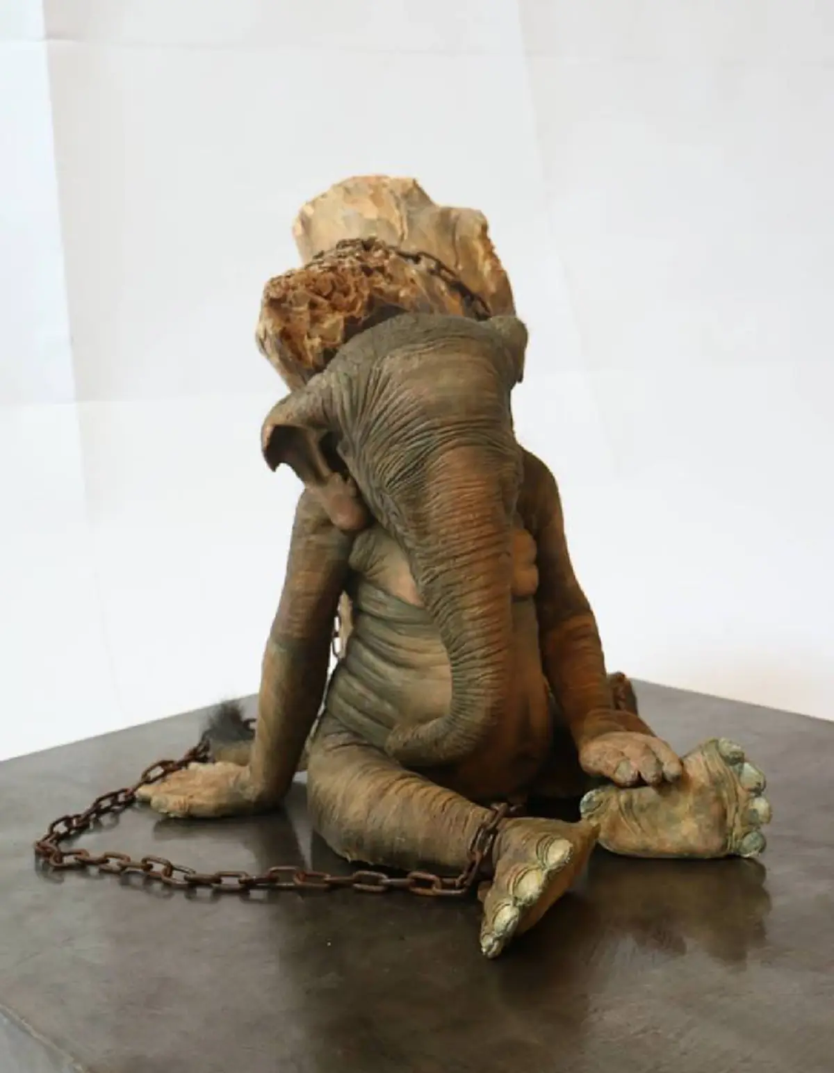 สัตว์ก็ต่างมีความรู้สึก!!! มันคือตัวอะไร!? แห่แชร์สนั่นภาพสัตว์หน้าตาประหลาด พอได้อ่านเรื่องราว ถึงกับช็อกมนุษย์ช่างโหดร้ายเหลือเกิน!!!