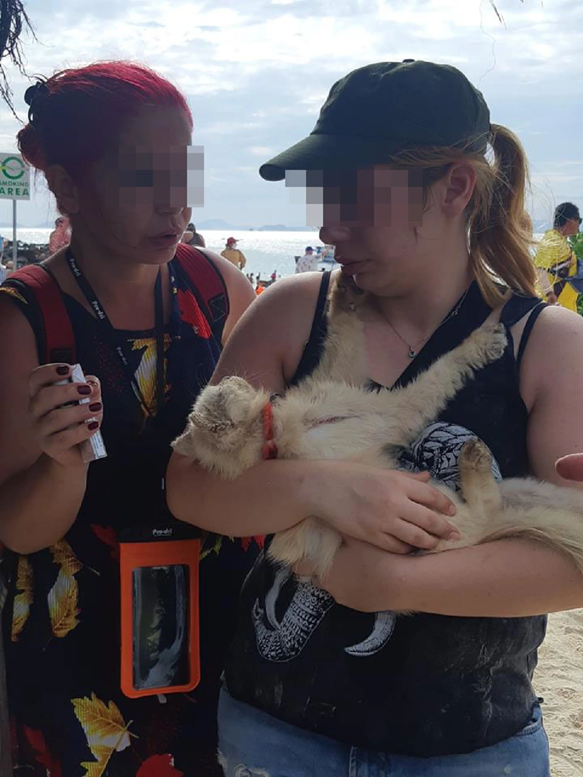 นทท.ต่างชาติเจอแมวบนเกาะ ร้องไห้โฮเมื่อเห็นแผลเต็มตัว ตัดสินใจเด็ดขาดฉันจะเอามันกลับไปรักษาไม่ให้อยู่ที่นี่อีกแล้ว!