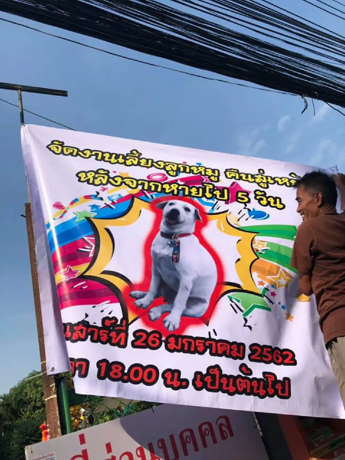 หมาชื่อลูกหมู