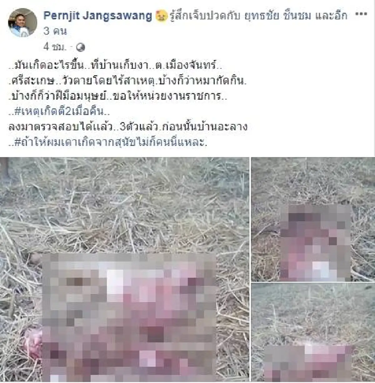 ศรีสะเกษ..ลูกวัวตายไม่ทราบสาเหตุ เหลือเพียงหัว และขาหลัง ชาวเน็ตแห่แสดงความคิดเห็น(คลิป)