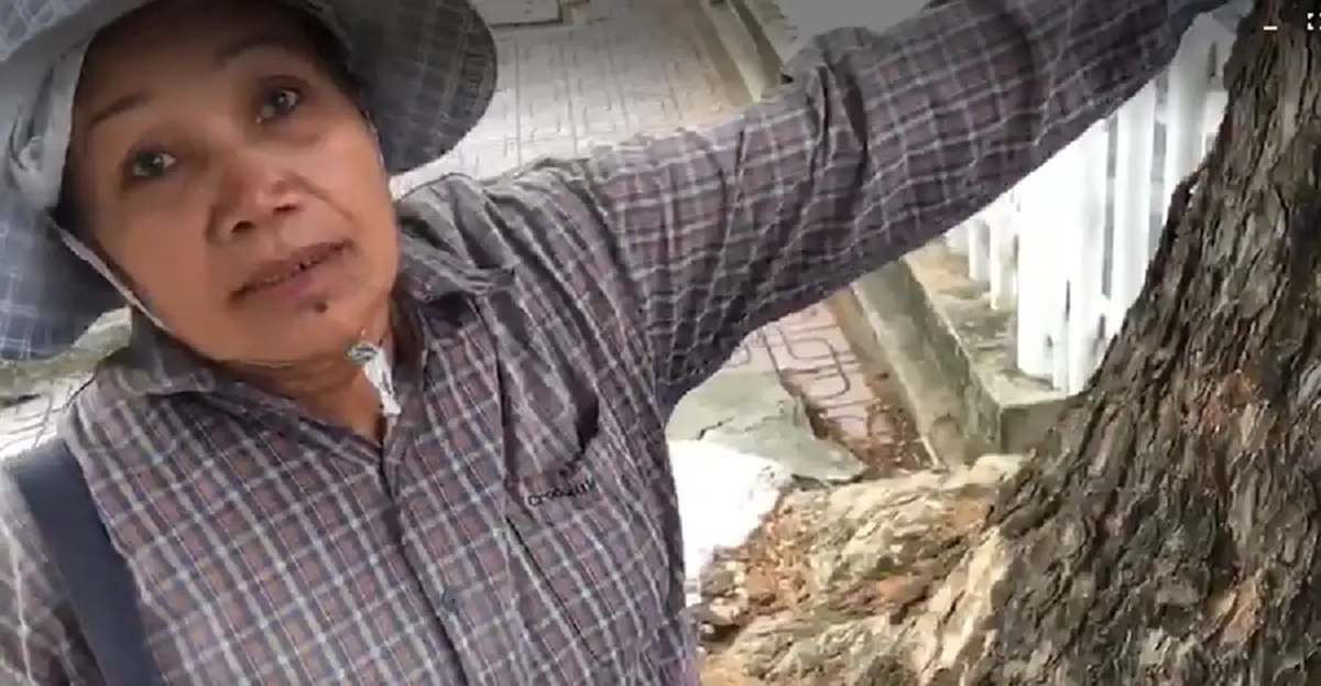 กระแทกใจ ศิลปินกราฟฟิกตี้ แต่งกลอนพ่นภาพศิลป์อาลัย"ต้นจามจุรี" อายุกว่า 50 ปี ถูกโค่นทิ้ง แก้ปัญหารากกระทบตึกอาคาร