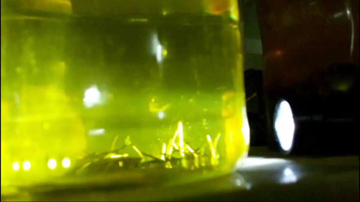 วิ่งไปทัั่วร่างกาย..คอยเตือนป้องกันภัย..อานุภาพอัศจรรย์แห่งเข็มทอง "ครูกฤช เข็มทอง"ศิษย์เอกท่านอาจารย์ประคอง สืบสายวิชาหลวงปู่พิมพ์มาลัย.