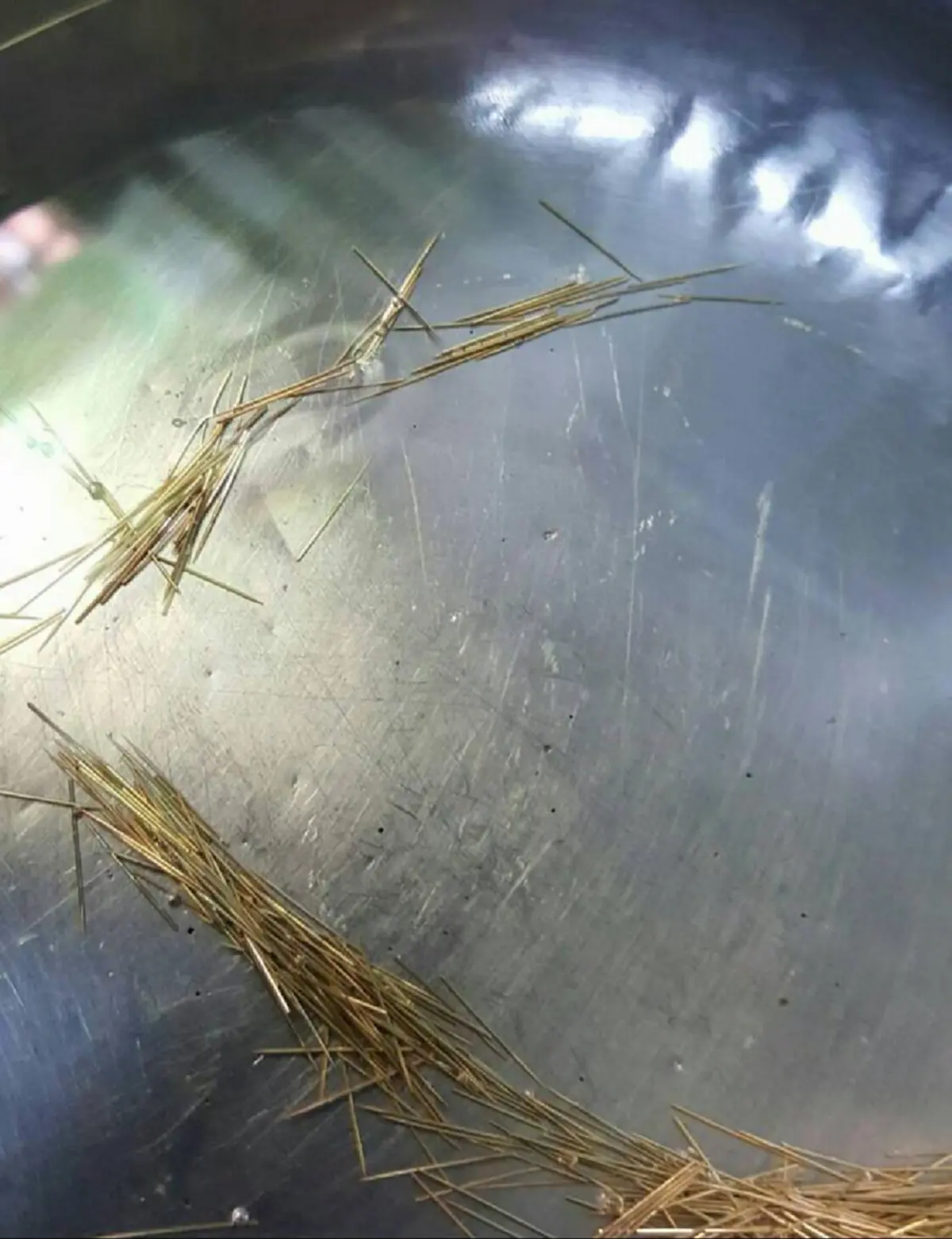 วิ่งไปทัั่วร่างกาย..คอยเตือนป้องกันภัย..อานุภาพอัศจรรย์แห่งเข็มทอง "ครูกฤช เข็มทอง"ศิษย์เอกท่านอาจารย์ประคอง สืบสายวิชาหลวงปู่พิมพ์มาลัย.