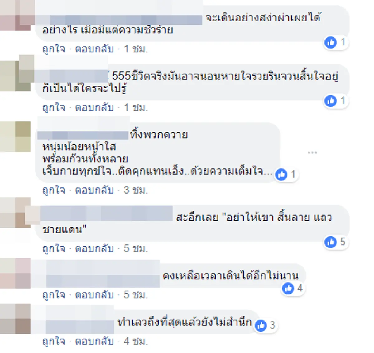 ความเห็นชาวเน็ต