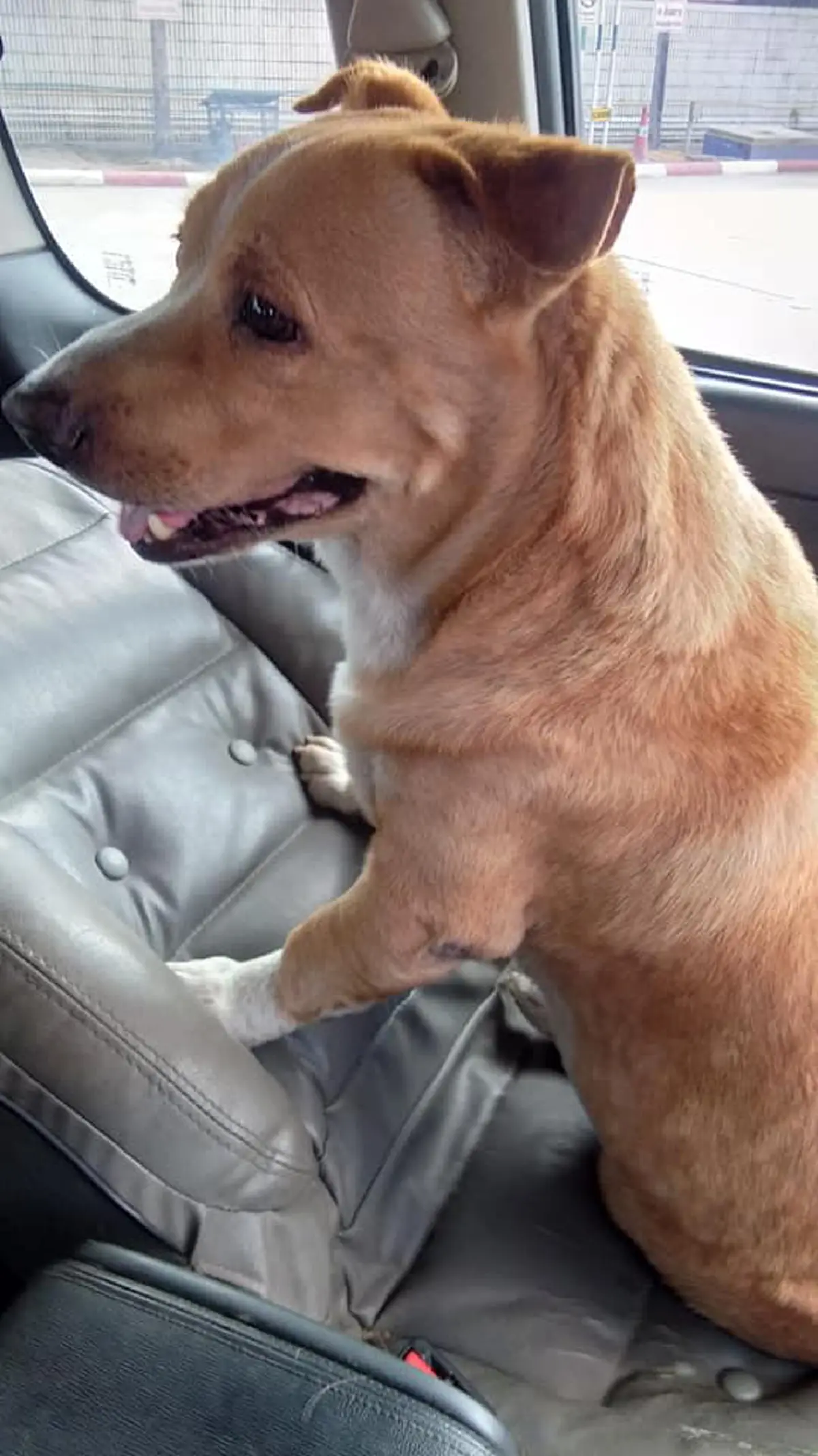 หนุ่มเลิกราภรรยา ฝ่ายหญิงทิ้งตูบไว้ดูต่างหน้า เลี้ยงเองมา 5 ปี รักสุด ๆ