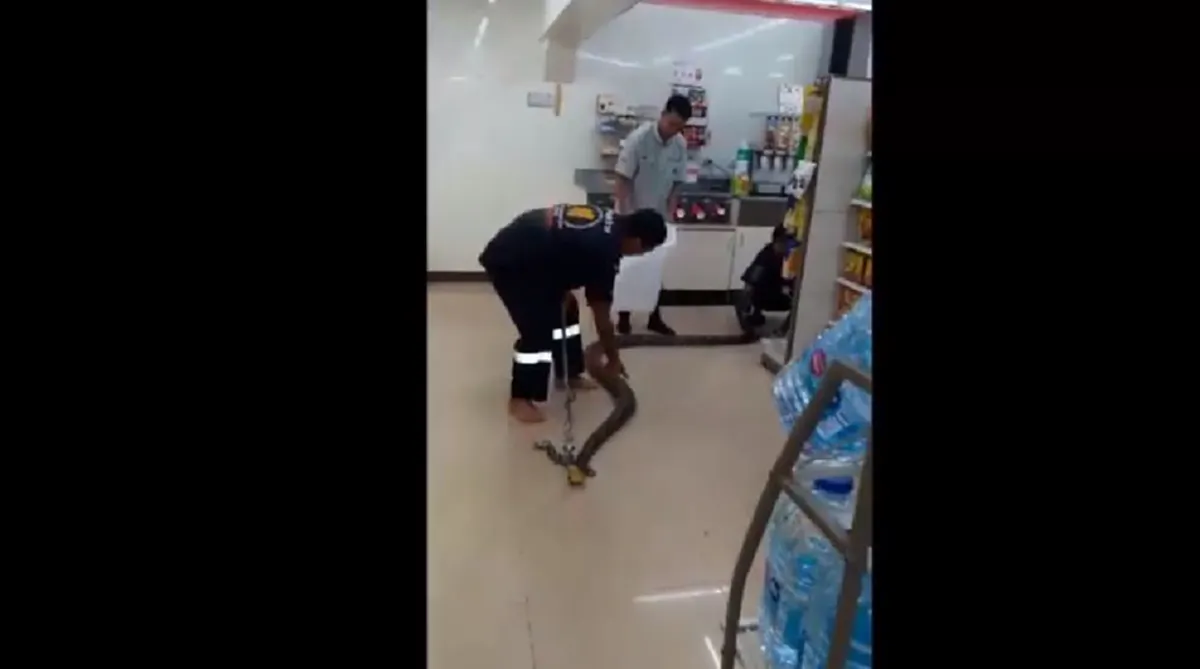 คอหวยมารวมกันตรงนี้ เปิดรหัสร้านสะดวกซื้อ เจอ"เจ้างูเหลือมยักษ์"บุก!! รีบส่องกันเลย พรุ่งนี้รวย รับทรัพย์ถ้วนหน้า!! (คลิป)